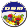 GSM Import-Export GmbH