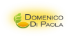 Domenico Di Paola GmbH