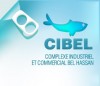 C.I.B.E.L. Complexe Industriel et Commercial Bel Hassan S.A.